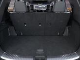 Thumbnail of 2025 Jungle Green Kia Telluride