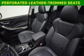 Thumbnail of 2024 Autumn Green Metallic Subaru Forester
