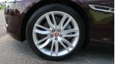 Thumbnail of 2018 Rossello Red Jaguar XF