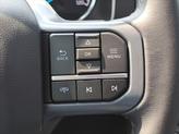 Thumbnail of 2023 Avalanche Gray Ford F-150
