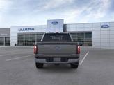 Thumbnail of 2025 Carbonized Gray Metallic Ford F-150