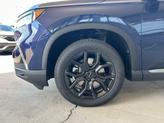 Thumbnail of 2025 Obsidian Blue Pearl Honda Pilot