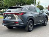 Thumbnail of 2025 Cloudburst Gray Lexus NX 350h