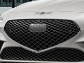 Thumbnail of 2026 Vatna Gray Genesis G70