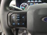 Thumbnail of 2025 Agate Black Metallic Ford F-250