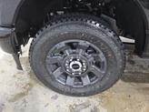 Thumbnail of 2025 Agate Black Metallic Ford F-250
