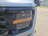 Thumbnail of 2025 Iconic Silver Metallic Ford F-150