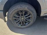Thumbnail of 2025 Carbonized Gray Metallic Ford F-150