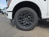 Thumbnail of 2025 Oxford White Ford F-150
