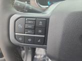 Thumbnail of 2025 Carbonized Gray Metallic Ford F-150