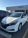 Photo of 2023 Glacier White Nissan Leaf