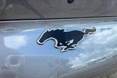 Thumbnail of 2021 Carbonized Gray Metallic Ford Mustang Mach-E