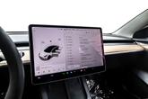 Thumbnail of 2022 Pearl White Multi-Coat Tesla Model 3