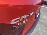 Thumbnail of 2019 Molten Lava Pearl Honda CR-V