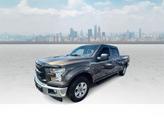 Photo of 2017 CARIBOU Ford F-150