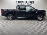 Thumbnail of 2024 Agate Black Metallic Ford F-150
