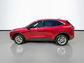 Thumbnail of 2022 Rapid Red Metallic Tinted Clearcoat Ford Escape