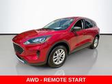 Photo of 2022 Rapid Red Metallic Tinted Clearcoat Ford Escape