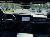 Thumbnail of 2024 Shelter Green Ford F-150