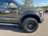 Thumbnail of 2024 Shelter Green Ford F-150