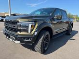 Thumbnail of 2024 Shelter Green Ford F-150