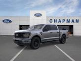 Photo of 2025 Gray Metallic Ford F-150