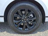 Thumbnail of 2024 Oxford White Ford Edge