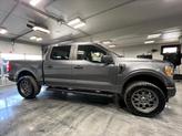Thumbnail of 2021 Gray Ford F-150