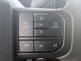 Thumbnail of 2025 Gray Ford F-150