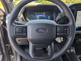 Thumbnail of 2025 Gray Ford F-150
