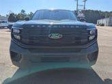 Thumbnail of 2025 Dark Ford Expedition