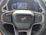 Thumbnail of 2022 Green Ford Bronco