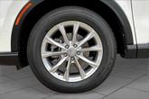 Thumbnail of 2025 Platinum White Pearl Honda CR-V
