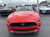 Thumbnail of 2023 Race Red Ford Mustang