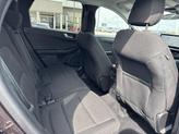 Thumbnail of 2023 Cinnabar Red Ford Escape
