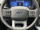 Thumbnail of 2025 Agate Black Metallic Ford F-150