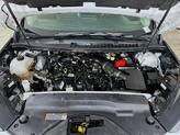 Thumbnail of 2024 Oxford White Ford Edge