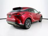Thumbnail of 2023 Matador Red Mica Lexus RX 350