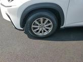 Thumbnail of 2019 Eminent White Pearl Lexus NX 300