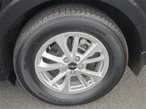 Thumbnail of 2022 Pantera Metal Kia Carnival