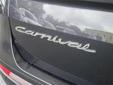 Thumbnail of 2022 Pantera Metal Kia Carnival