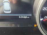 Thumbnail of 2022 Pantera Metal Kia Carnival