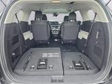Thumbnail of 2022 Pantera Metal Kia Carnival