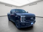 Thumbnail of 2023 Black Metallic Ford F-250
