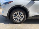 Thumbnail of 2022 Oxford White Ford Escape