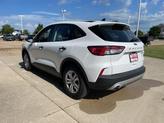Thumbnail of 2022 Oxford White Ford Escape
