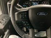 Thumbnail of 2018 Magnetic Ford F-150