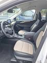 Thumbnail of 2022 Star White Tri-Coat Ford Escape