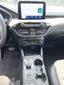 Thumbnail of 2022 Star White Tri-Coat Ford Escape