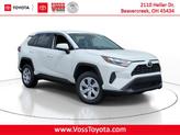 Photo of 2025 Ice Cap Toyota RAV4